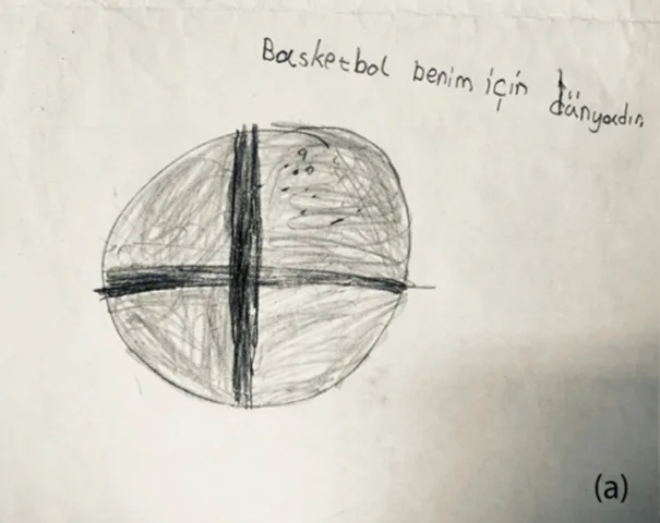 Children’s Perceptions of Basketball - An attempt to explain our love and enthusiasm for the sport of basketball